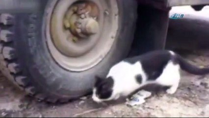 Bu kadar gerilim korku filmlerinde bile yok