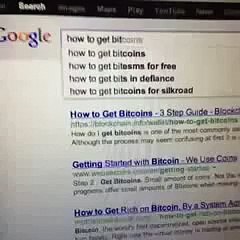 2014 511 videos dog funny Laugh your heart