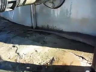 دنیا کا سب سے بڑا سانپ۔