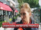 Gribin doğal antibiyotiği Propolis nasıl kullanılmalı