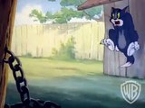 Tom and Jerry Greatest Chases Volume 3 Dog Chase