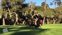 Deer Fight on Golf Course  Hit the Links
