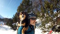 Dog Goes Skiing  Frozen Fun