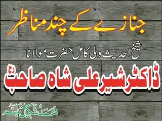 Dr Shair Ali shah Sb