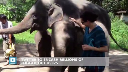 Twitter to encash millions of logged-out users