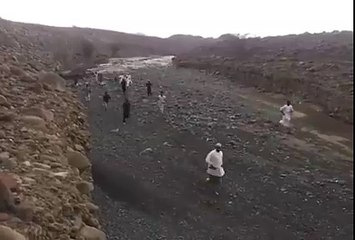 Run! Run! Quickly before water touch you