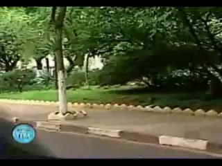 funny videos and prank calls