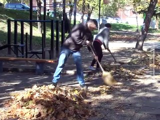 Stranačka hronika, 31. oktobar 2015. (RTV Bor)