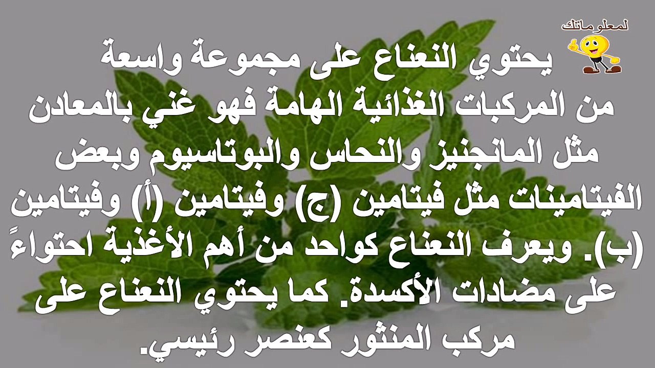 فوائد النعناع للحامل