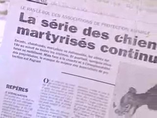 mais quelle bande de batard!