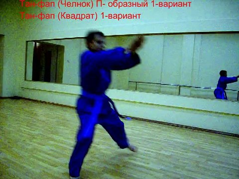 Stavropoliskaya marginal federation VOVINAM VIET VO DAO Russia