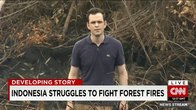 Indonesia struggles to fight forest fires