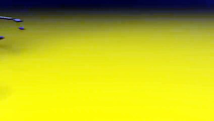 RWC Final highlights- New Zealand v Australia - Video Dailymotion