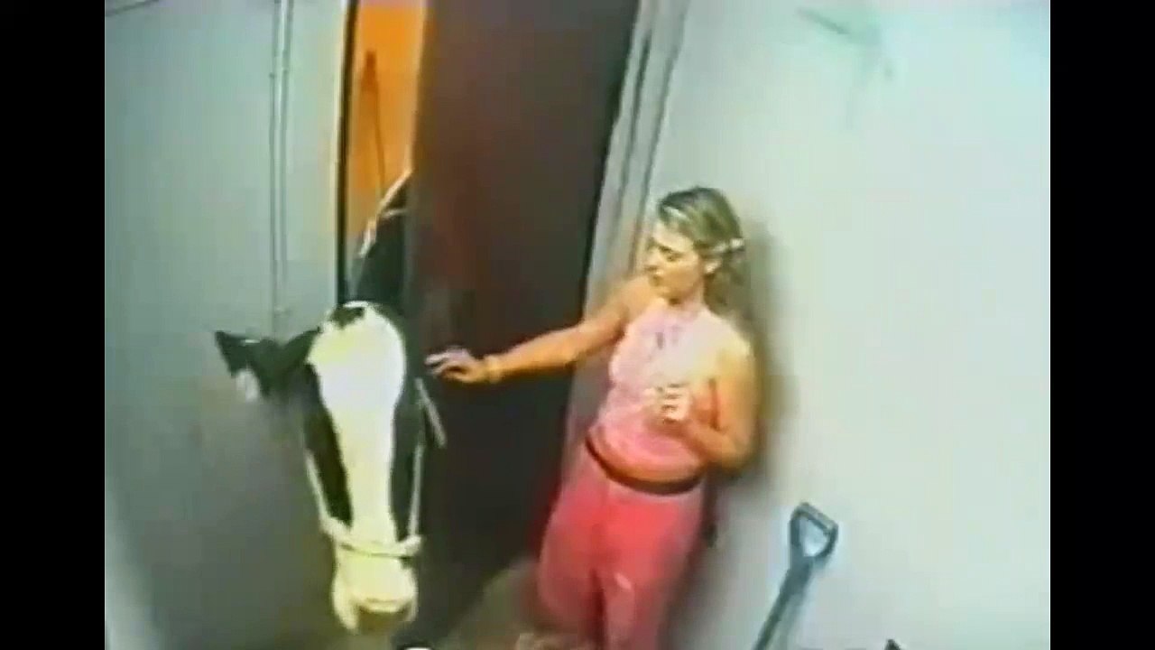 Cow is less dangrous then female funny - Video Dailymotion