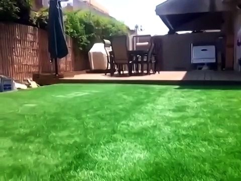 Кажется, что здесь показан обычный газон, но когда тайна раскроется, ты ахнешь )