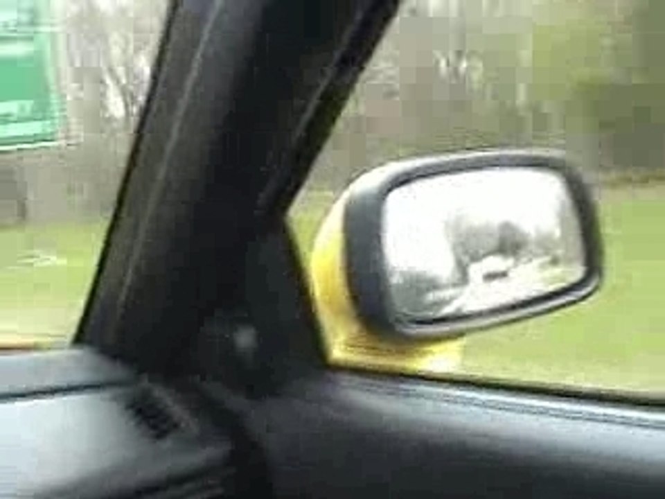 VW Corrado G60 vs Golf IV R32