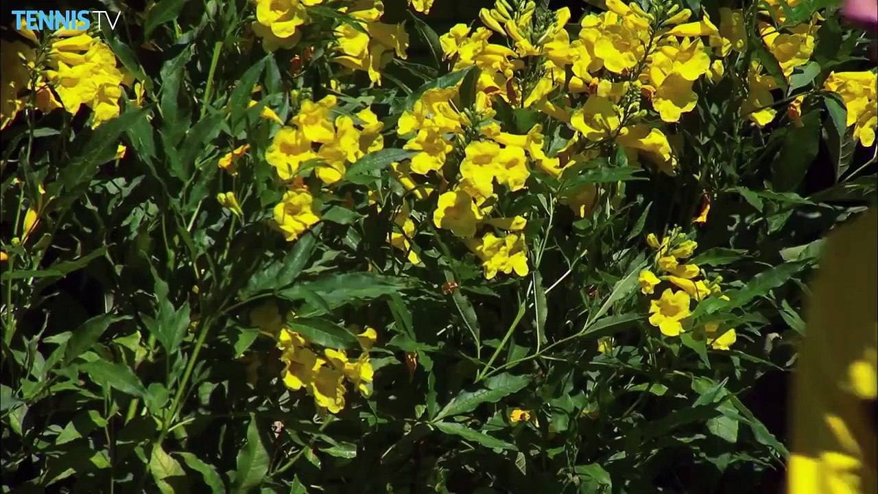 Friday Highlights  2015 BNP Paribas Open - ATP Indian Wells_3