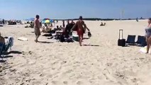 Lifeguard Gets His Ass Kicked By a Horse On The Beach