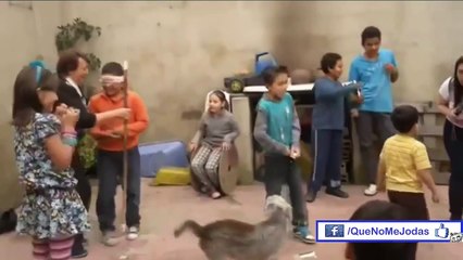 Los Mejores Videos De Risa 2013 #3 Caidas//Golpes//Sustos//fails [Full Episode]