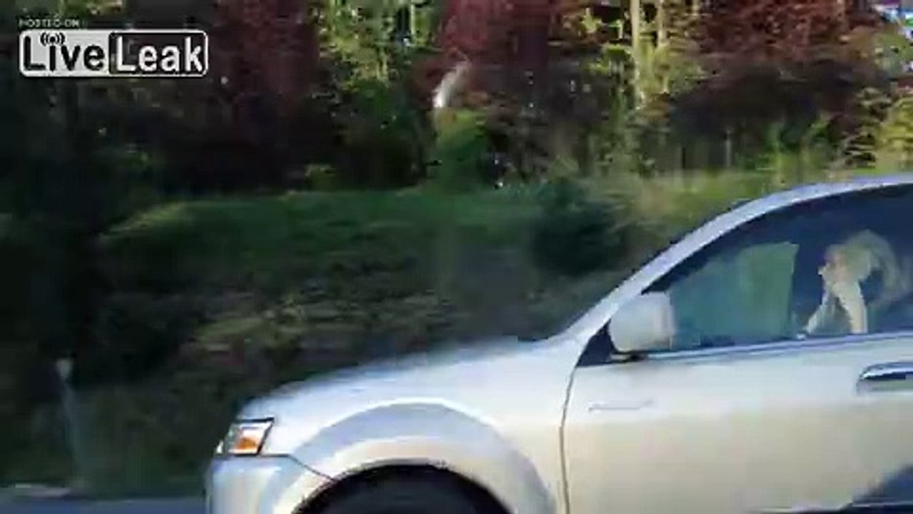 LiveLeak.com - Distracted Driving Level: Blonde