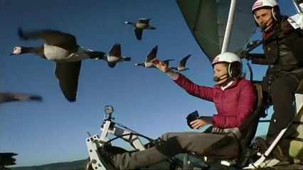 Kaz ve Turnalarla Uçan Adam.. İnanılmaz!