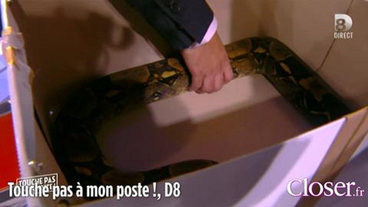 Touche pas à mon poste ! Cyril Hanouna offre un serpent à Matthieu Delormeau