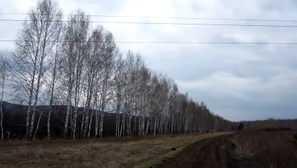 110 kV power line short circuit