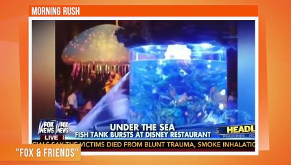Un aquarium explose dans un restaurant !