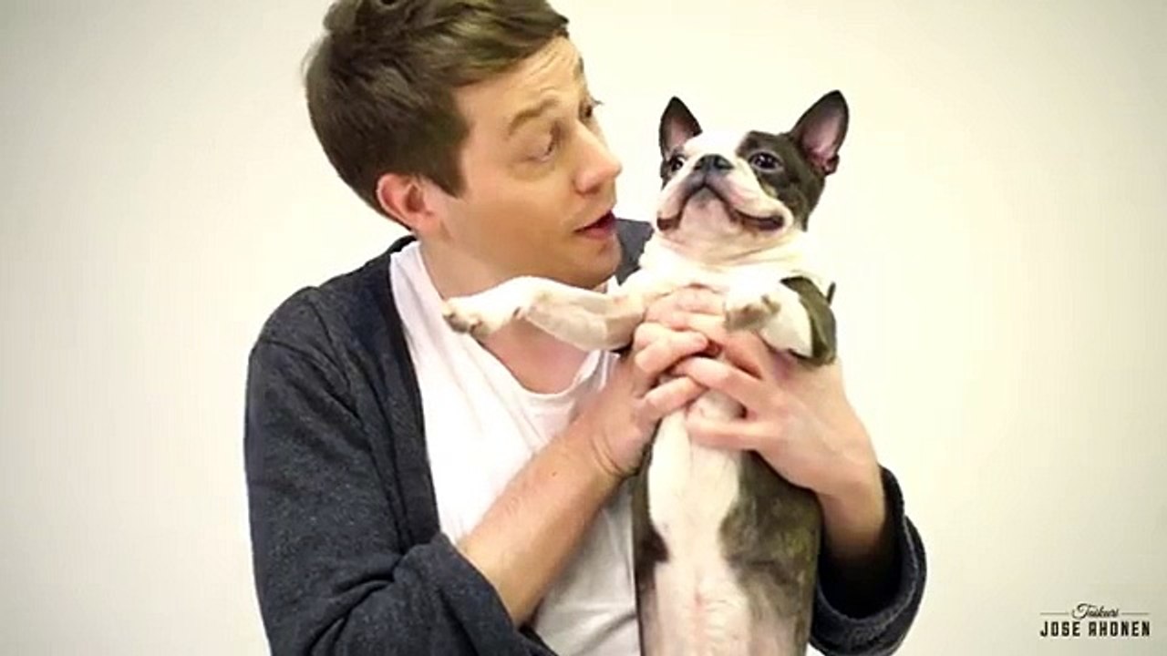 Réactions de chiens face à un tour de magie