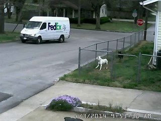 Un livreur de FedEx oublie de mettre le frein à main