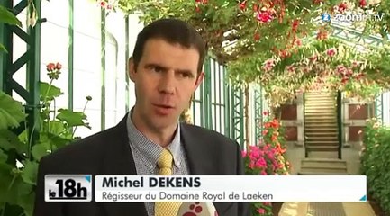 Des magnifiques serres à visiter à Bruxelles