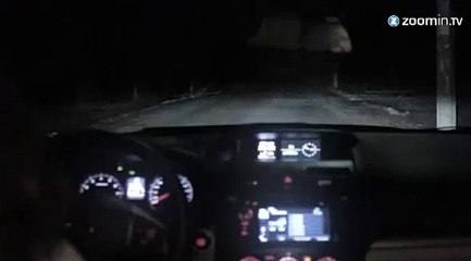 Buzz : un chien fait le mort pour voler une voiture