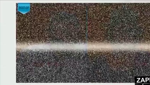 Volontaire ou pas ? Un drôle de mot dans Des Chiffres et des lettres !