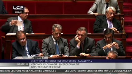 Journée de la jupe: une députée UMP accuse la théorie du genre et le gouvernement