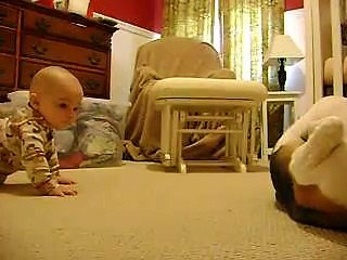 Скачать видео: Un bébé et un beagle jouent ensemble... Trop adorable