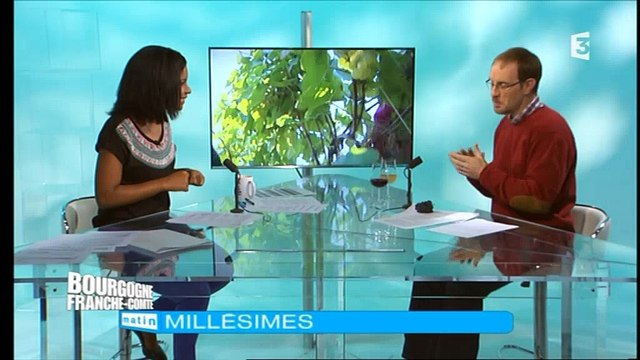 Millésime : la couleur du vin avec Laurent Gotti, rappel des fondamentaux de la fabrication des vins