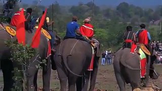Elephant racing champion in Vietnam