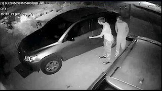 More Cockroaches Stealing From Unlocked Cars
