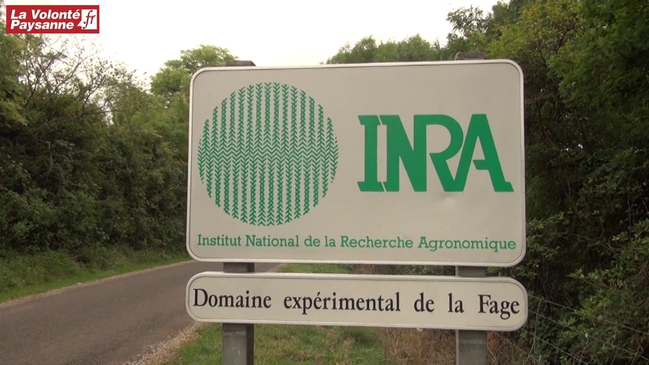 INRA : les 50 ans du Domaine de La Fage