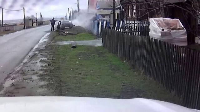 Speeding Car Crashes Into a Cow
