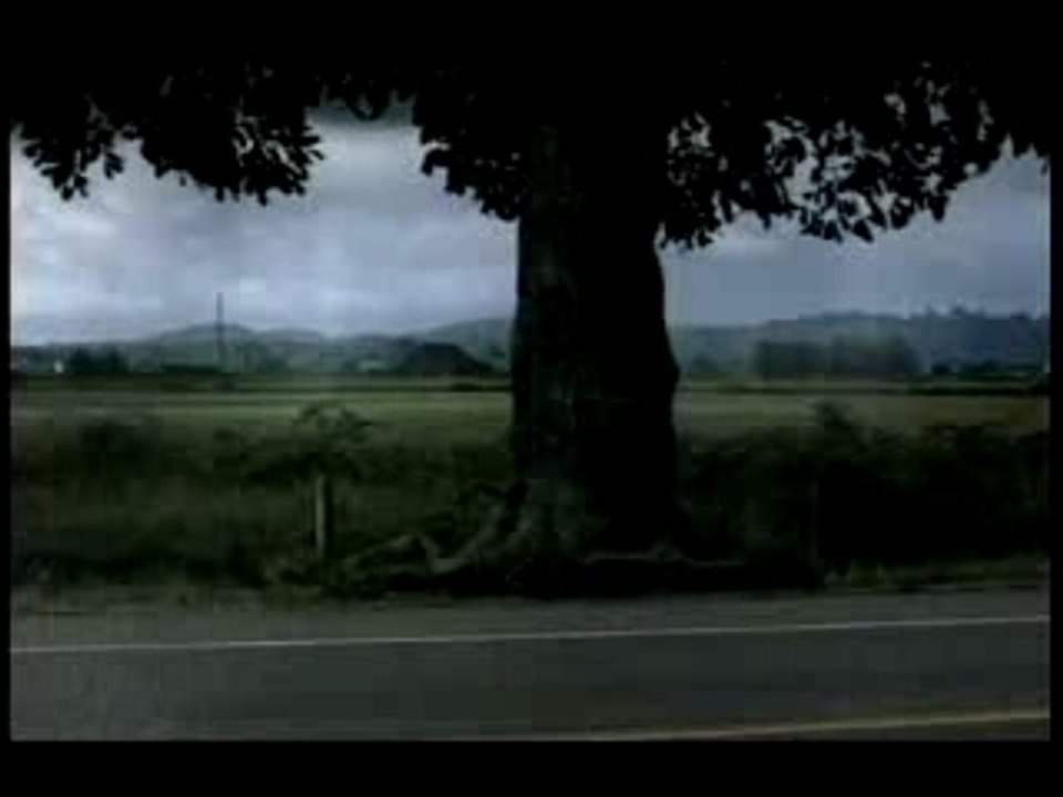 Johnnie walker "tree"