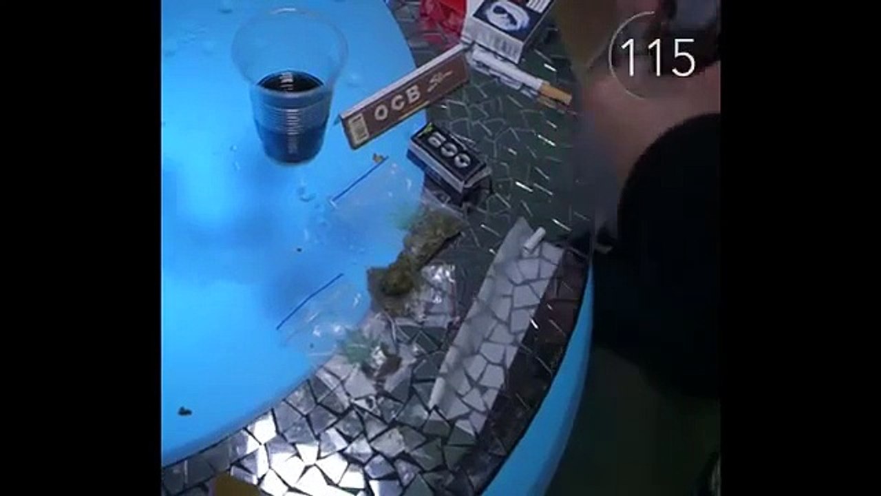 Heazzy - Story Snap 2