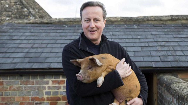 Le scandale sexuel de David Cameron - ZAPPING ACTU DU 22/09/2015