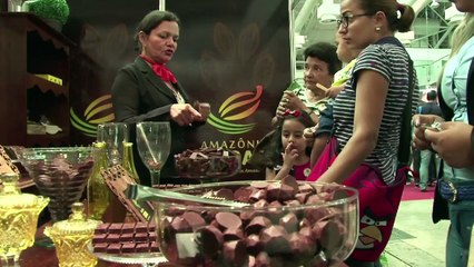 Brazil’s Amazonian chocolate producers making timid progress