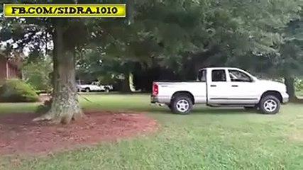 Power car Pull Big tree LOL Funny video watch video online