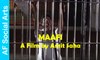 Maafi-A Film by Amit Saha || New Hindi Short Film/Movie 2015 || dailymotion