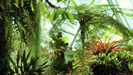 BUCKMINSTER FULLER EcoArchitect of sustainability