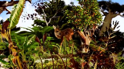 Protección de la Amazonia en Colombia | Global 3000