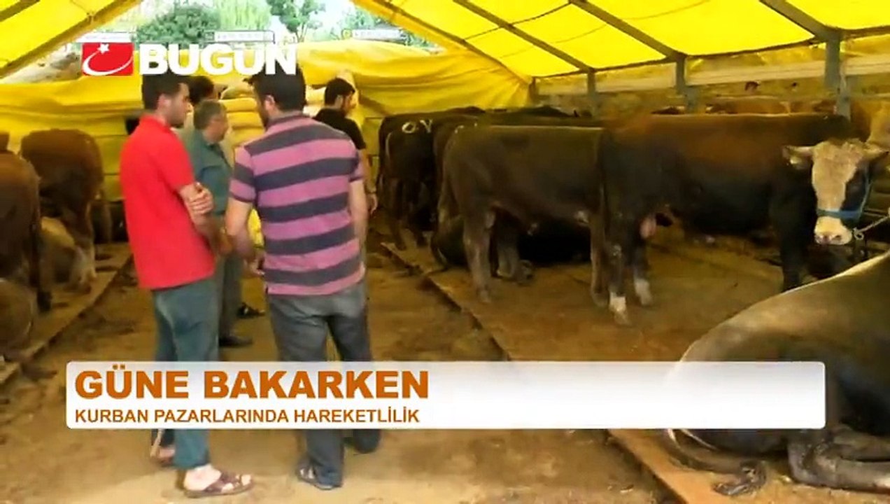 Kurban Alırken Nelere Dikkat Edilmeli?