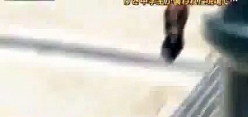 Un sanglier attaque un cameraman !